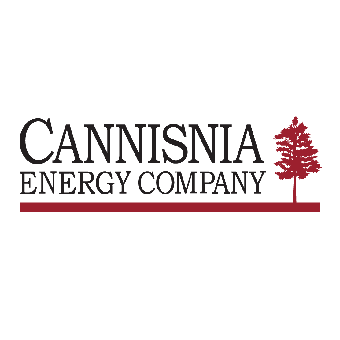 CANNISNIA WELLBORE ONLY PACKAGE - Energy Advisors Group CANNISNIA WELLBORE ONLY PACKAGE